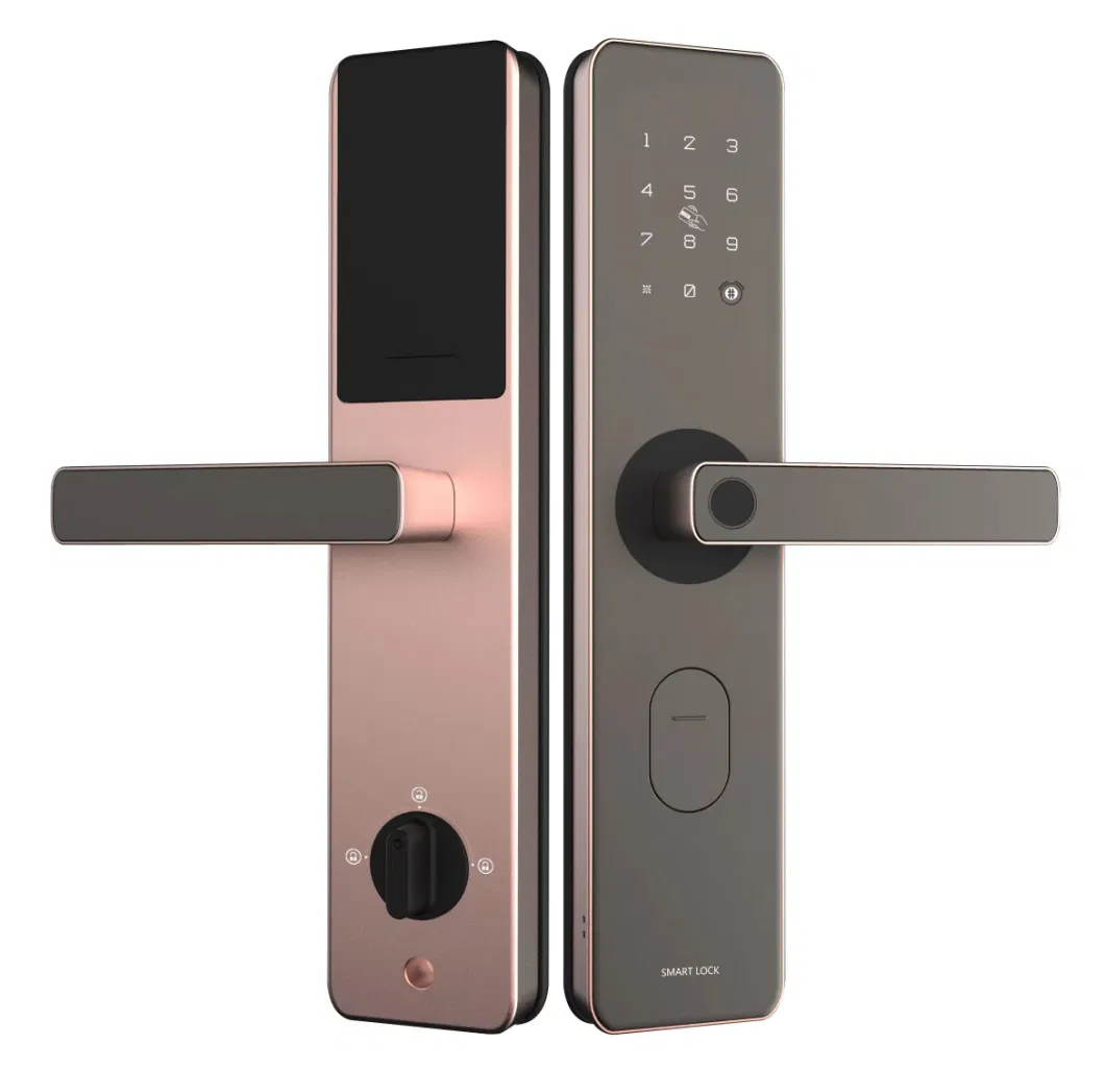 Aluminum Alloy 6068 Mortise Multi-Function Unlock Digital Fingerprint Smart Door Lock